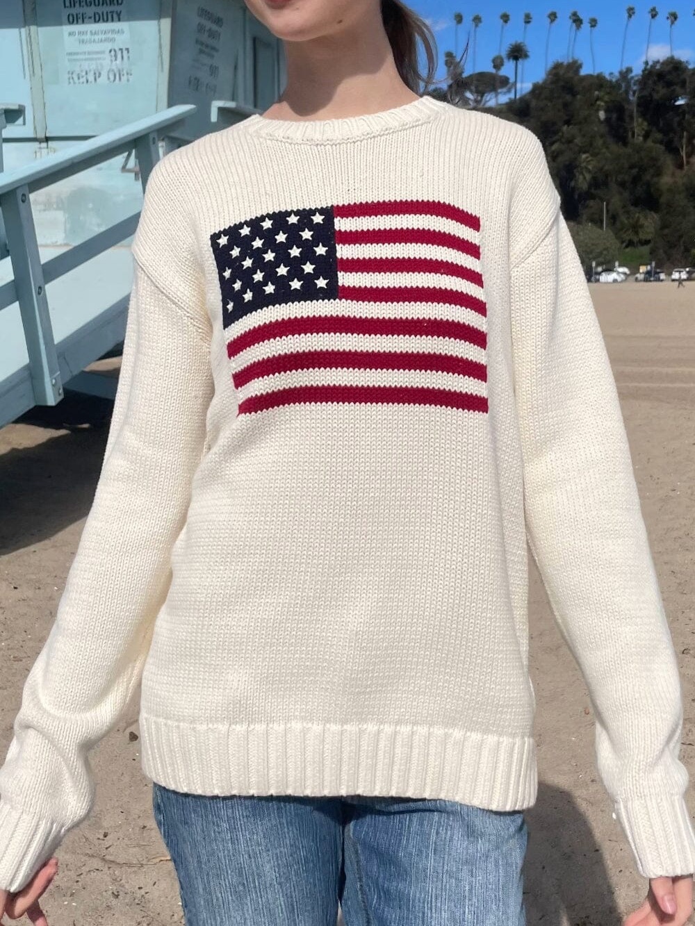 Brandy Melville Nico American Flag Sweater